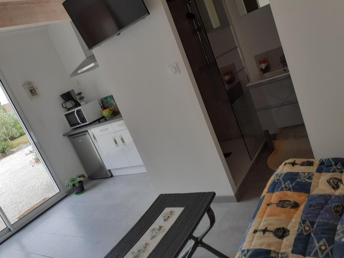 Studio Lumineux Dans La Coulee Verte A Saint Gilles Croix De Vie Εξωτερικό φωτογραφία